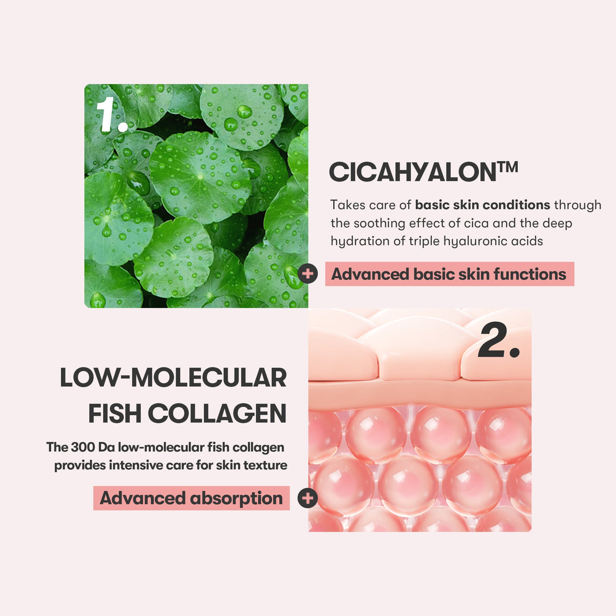 VT Cosmetics Cica Collagen Eye Cream drėkinamasis paakių kremas, 15 ml – papildomas gamintojo vaizdas